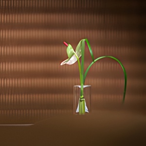 Reforma restaurante Divinum Barrio Viejo Girona interiorismo