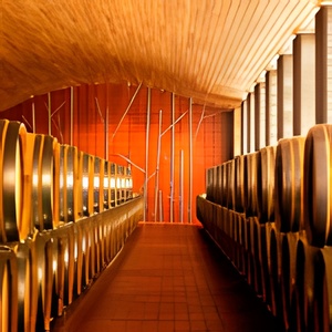 Diseño sala barricas Bodegas Vega Sicilia interiorismo